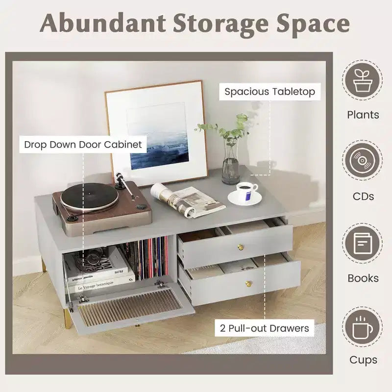 Modern TV Stand for 55 TVs with Drop Down Door Cabinet 2 Storage Drawers Gray