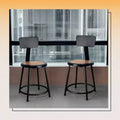 18" Felix Collection Steel Stool with Backrest Black